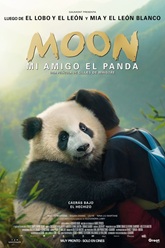 Moon the Panda